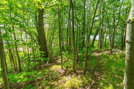 460th Ave, Brandon, MN 56315