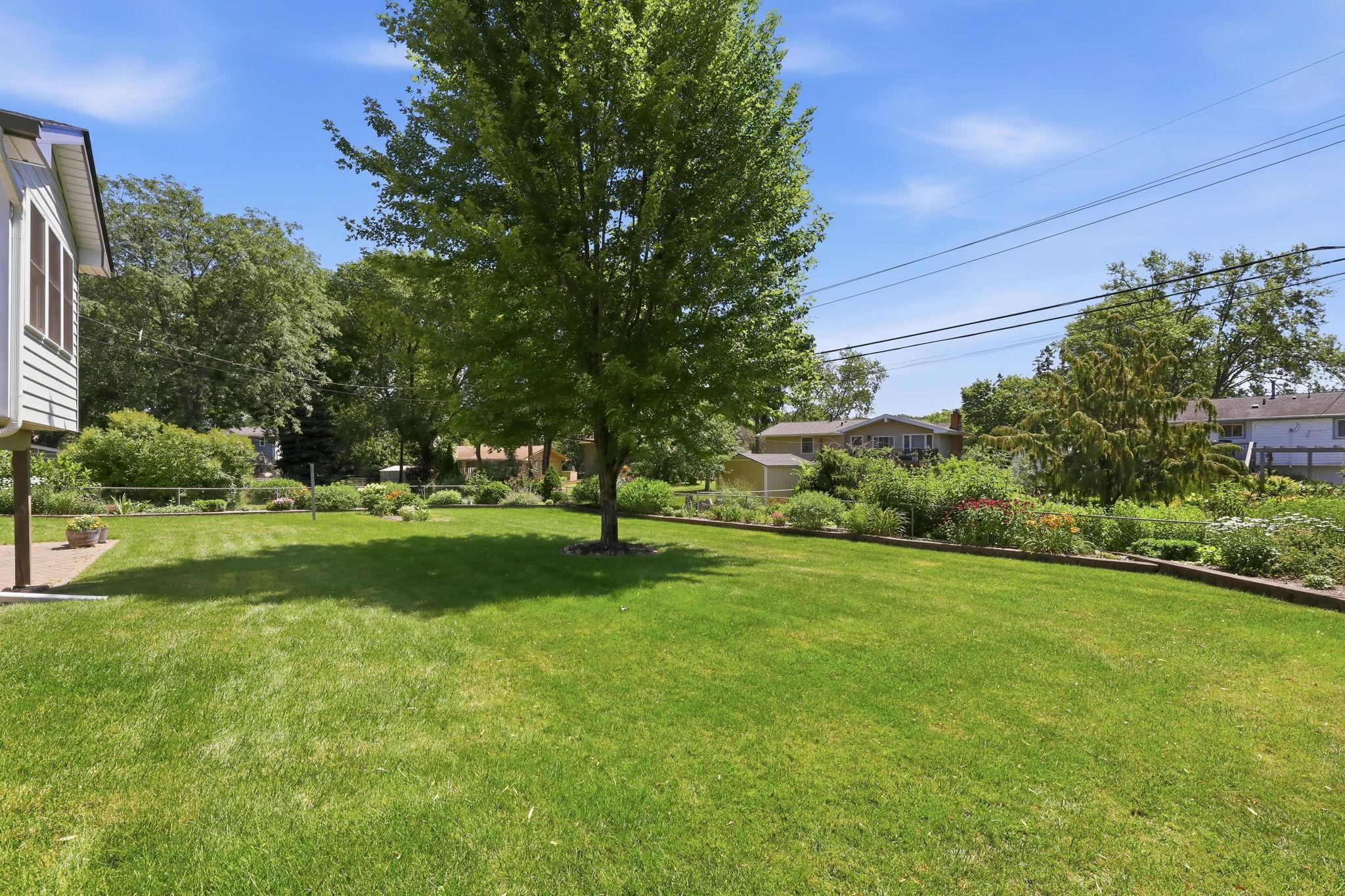 Tons of green space to play in the back yard!
