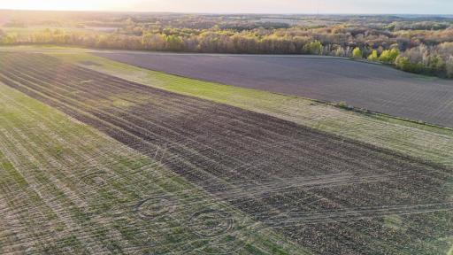 dji_fly_20260507_194900_0404_1778256602894_photo.jpg