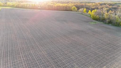 dji_fly_20260507_194940_0405_1778256602531_photo.jpg