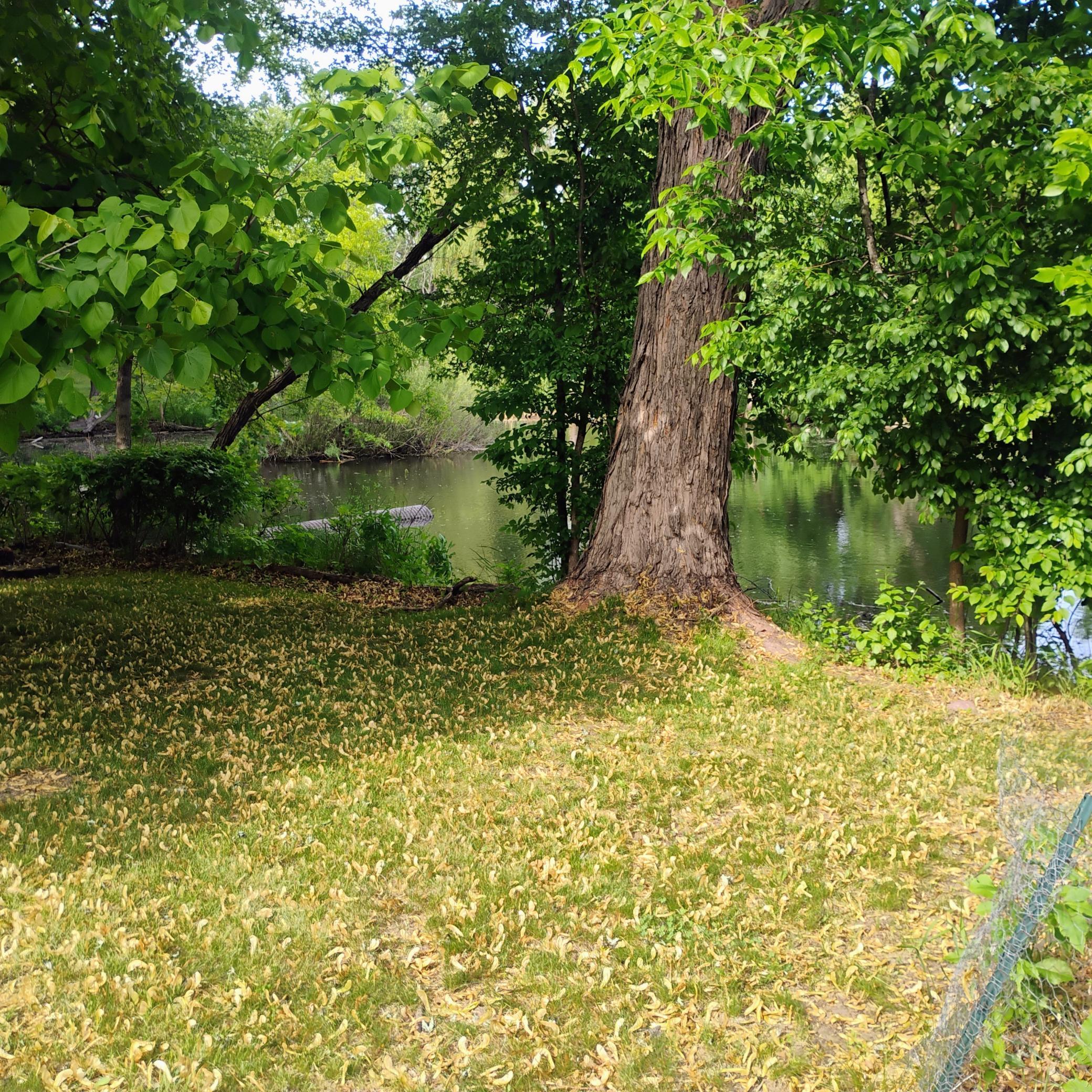 9067206143253225189.JPG