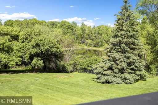 13233 Downey Trail, Saint Paul, MN 55124