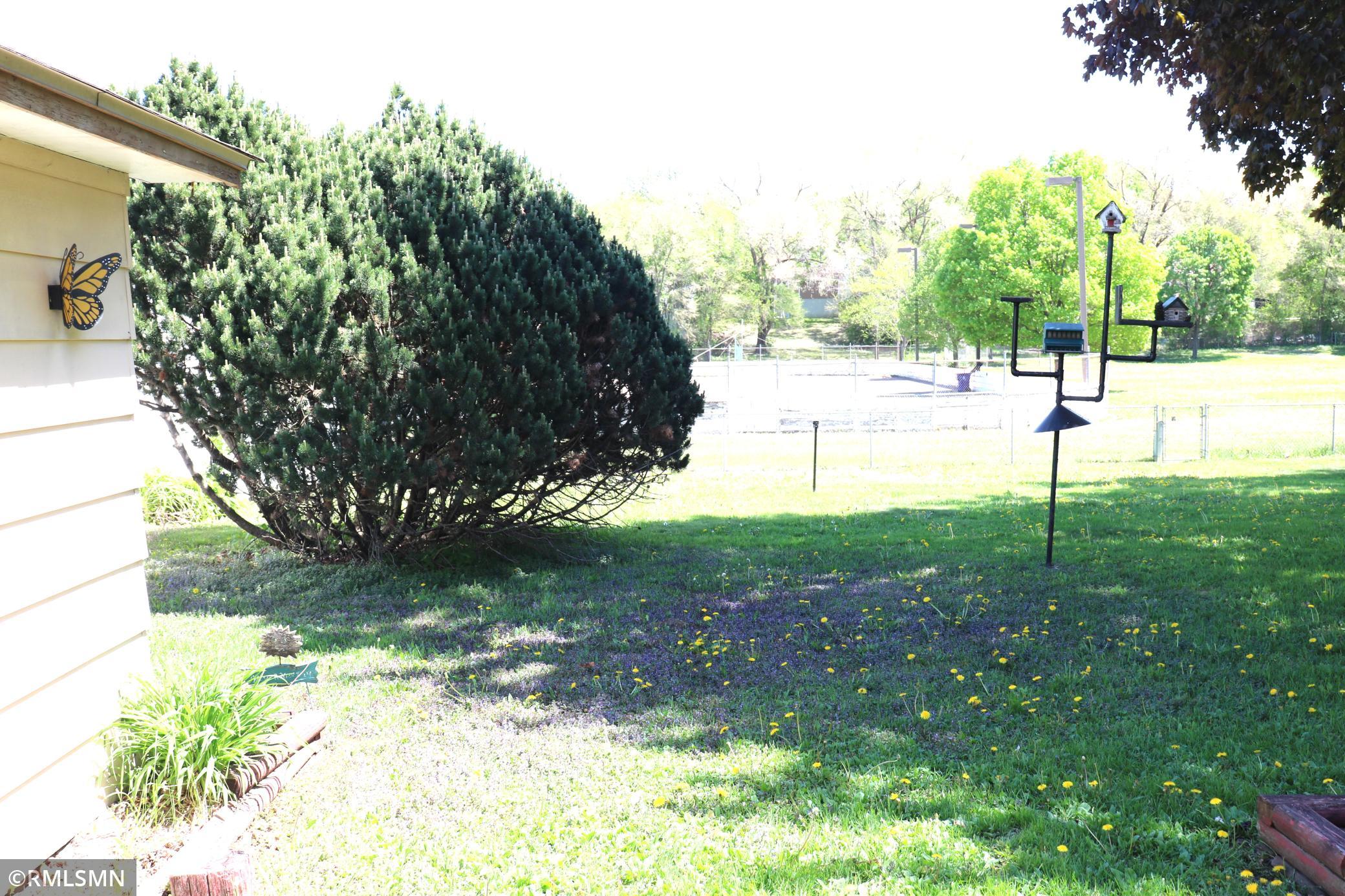 Spacious back yard
