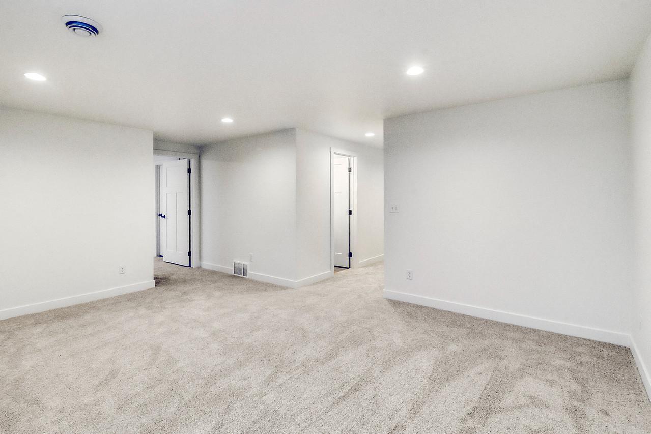 Basement Family Room