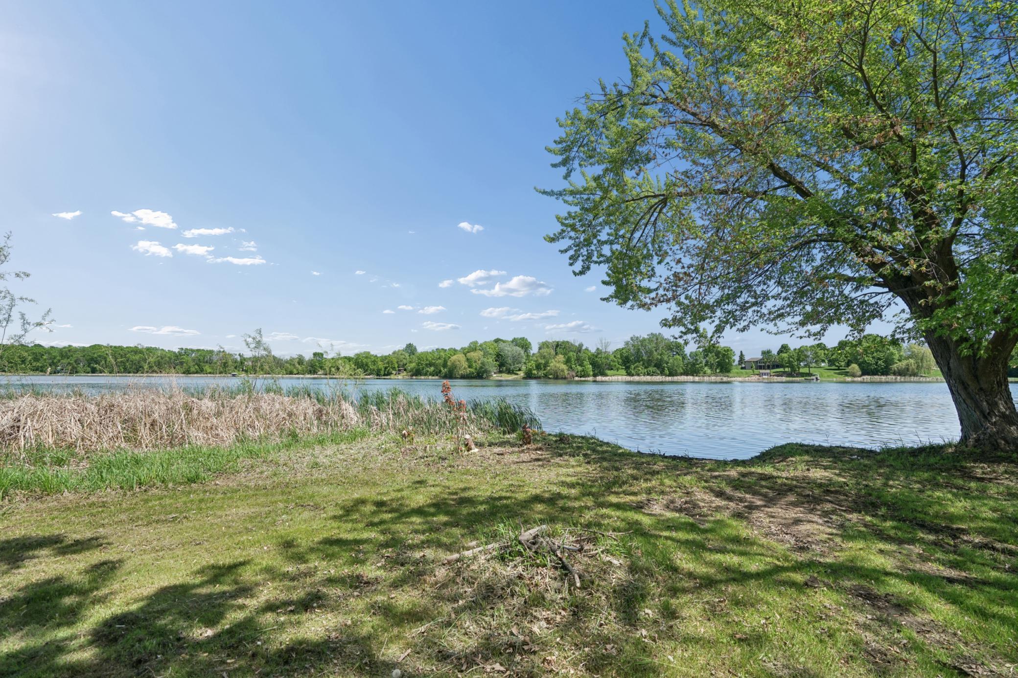 A view looking North from the lakeshore.