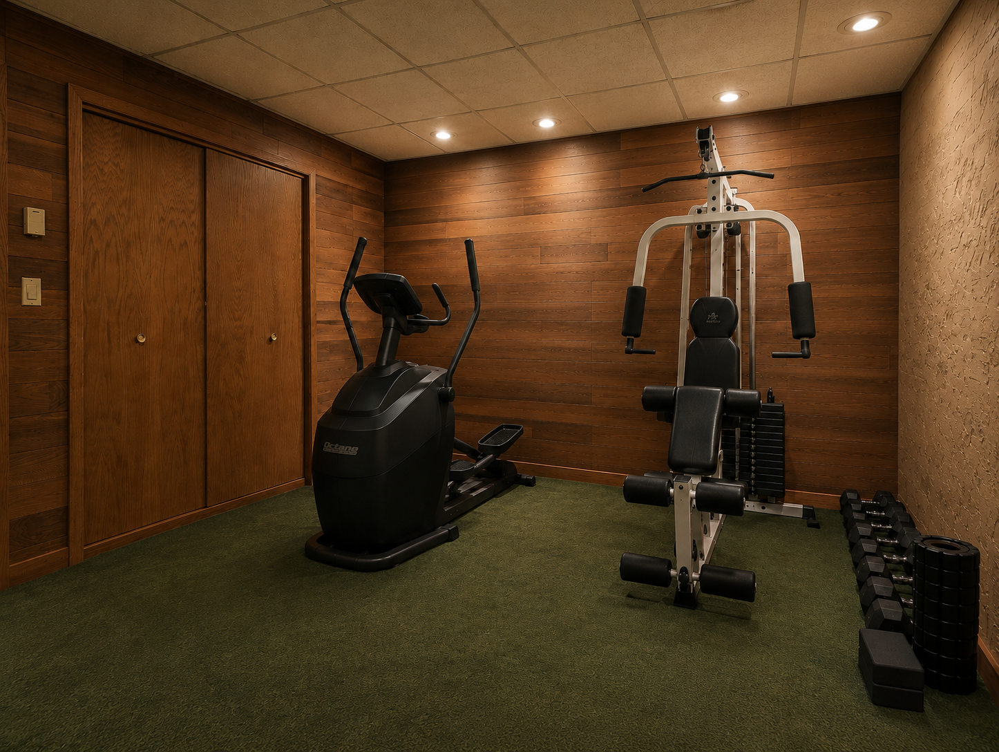 Den - Lower Level Gym.png