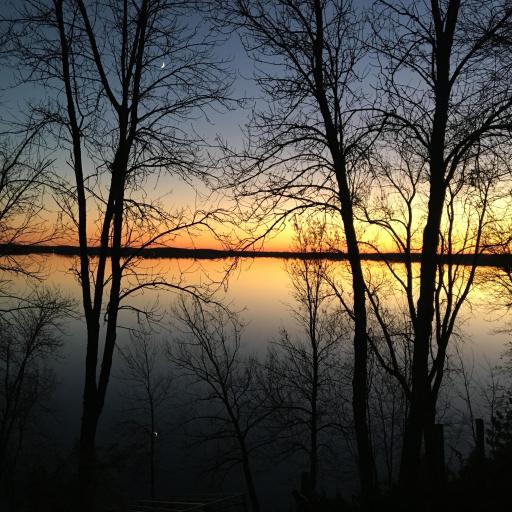 38132 N Little Mcdonald Drive, Frazee, MN 56544