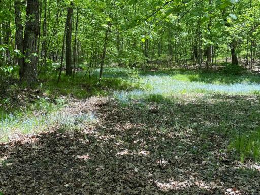 30111 Tageto Road, Ogema, MN 56569