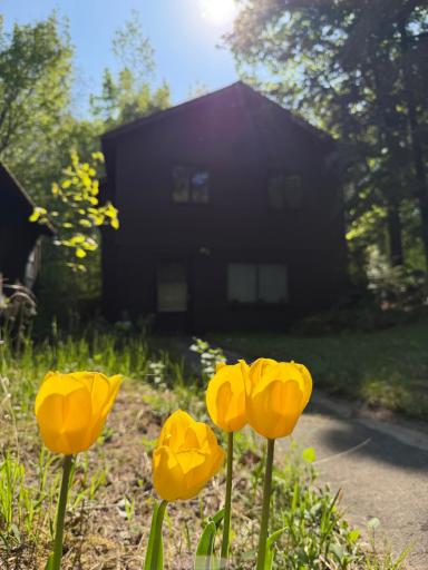 30257 County 37, Laporte, MN 56461