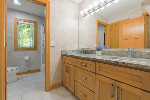 1228 Wildwood Way, Chaska, MN 55318