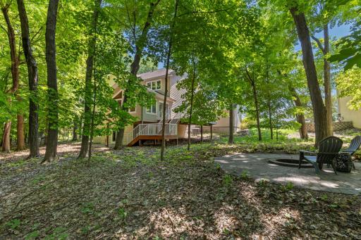 1228 Wildwood Way, Chaska, MN 55318