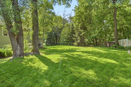 So much green space in this yard plus mature trees for shade.