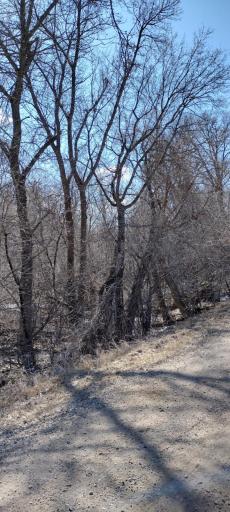28023 County Highway 1, Underwood, MN 56586