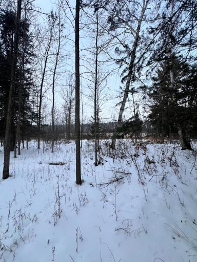 TBD County Rd 67, Grand Rapids, MN 55744