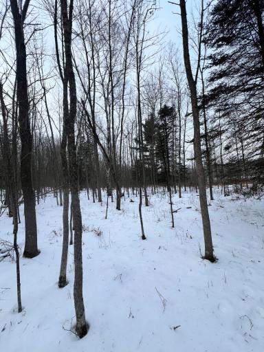 TBD County Rd 67, Grand Rapids, MN 55744