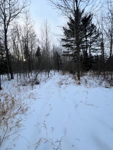 TBD County Rd 67, Grand Rapids, MN 55744