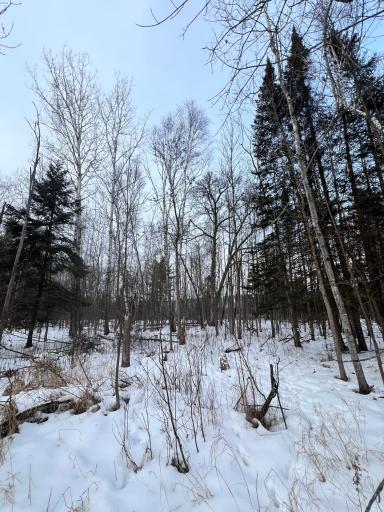 TBD County Rd 67, Grand Rapids, MN 55744