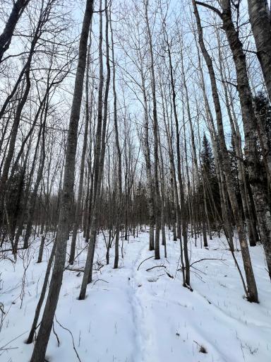 TBD County Rd 67, Grand Rapids, MN 55744