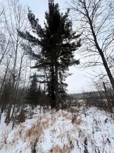 TBD County Rd 67, Grand Rapids, MN 55744