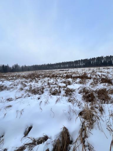 TBD County Rd 67, Grand Rapids, MN 55744