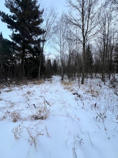 TBD County Rd 67, Grand Rapids, MN 55744