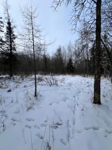 TBD County Rd 67, Grand Rapids, MN 55744
