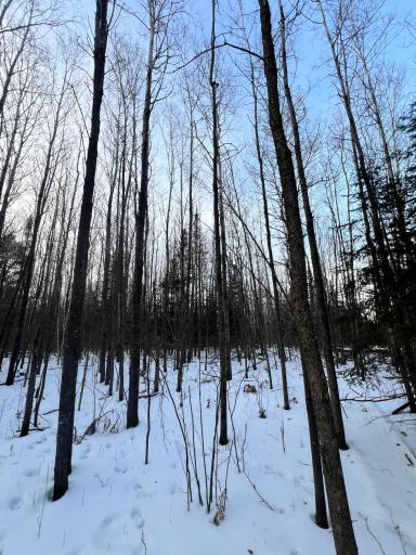 TBD County Rd 67, Grand Rapids, MN 55744