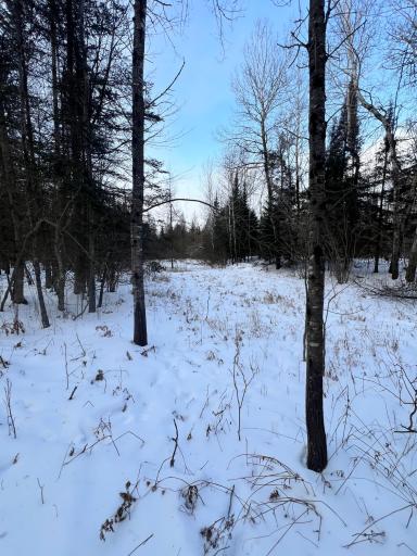 TBD County Rd 67, Grand Rapids, MN 55744