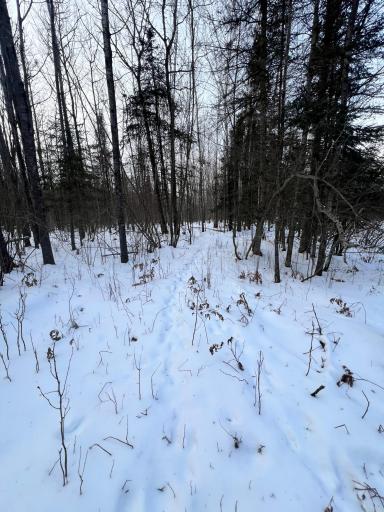 TBD County Rd 67, Grand Rapids, MN 55744