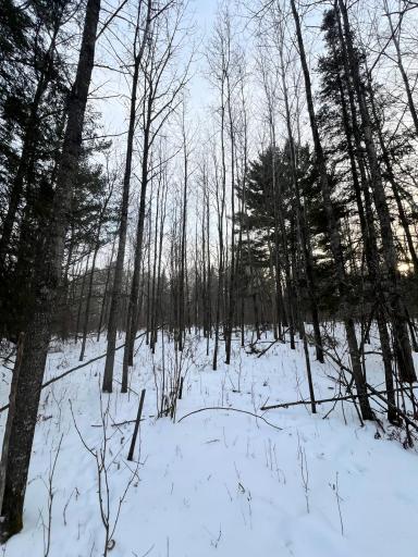 TBD County Rd 67, Grand Rapids, MN 55744