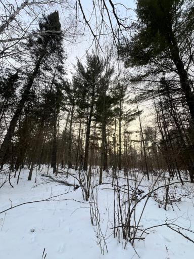 TBD County Rd 67, Grand Rapids, MN 55744