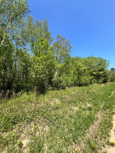 TBD County Rd 67, Grand Rapids, MN 55744