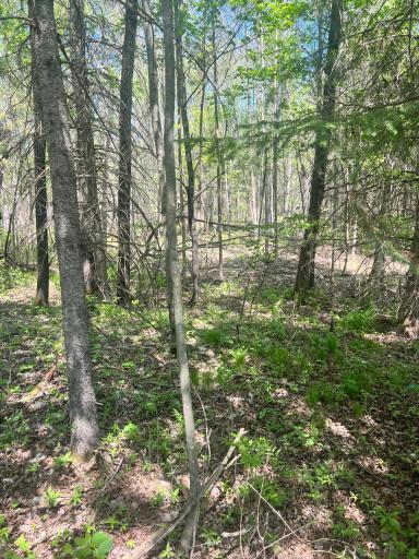 TBD County Rd 67, Grand Rapids, MN 55744