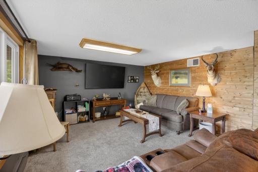 31265 Eagle Lake Road, Frazee, MN 56544