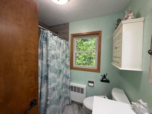31265 Eagle Lake Road, Frazee, MN 56544
