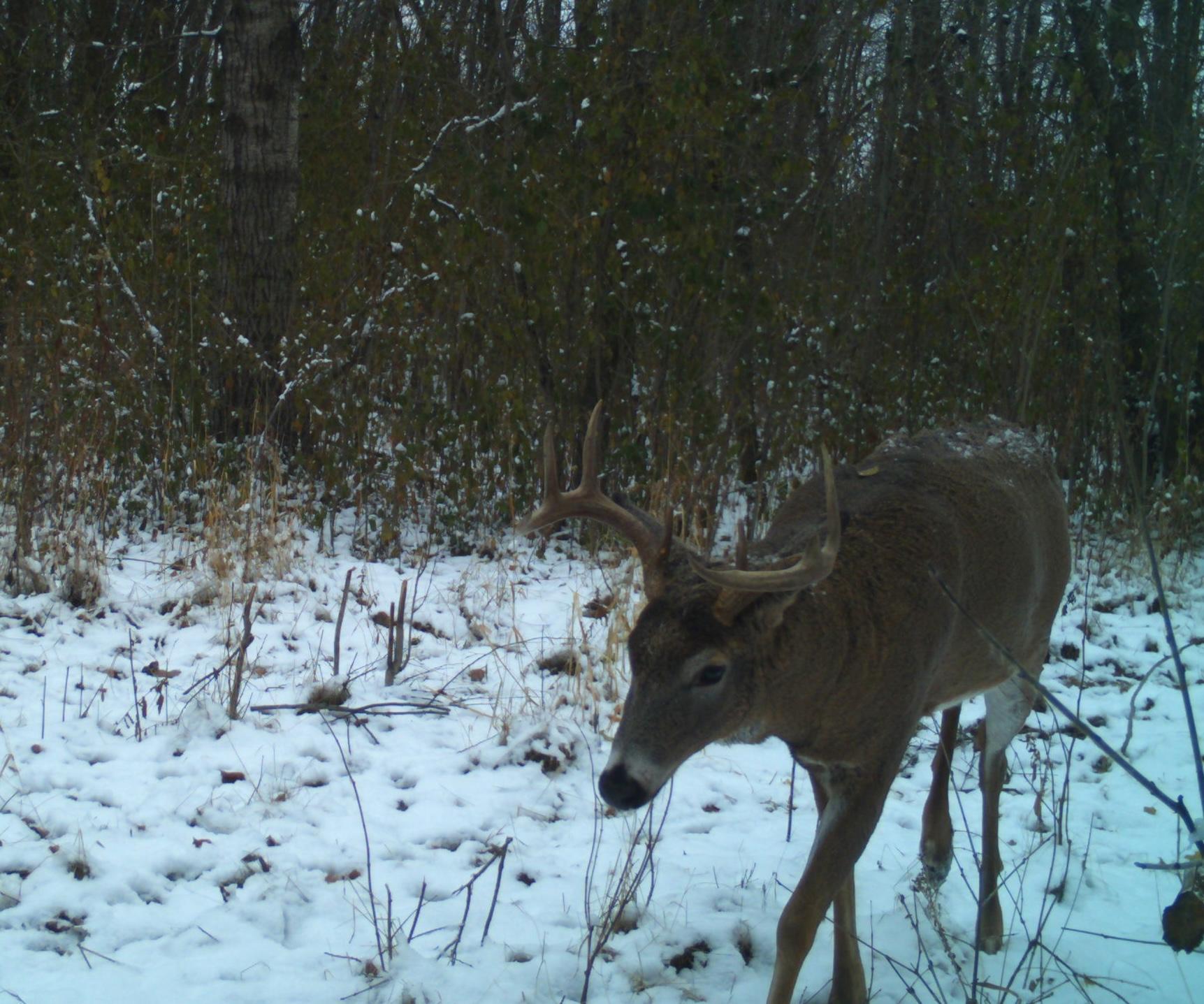 8 pt by flip down window stand 3.JPG