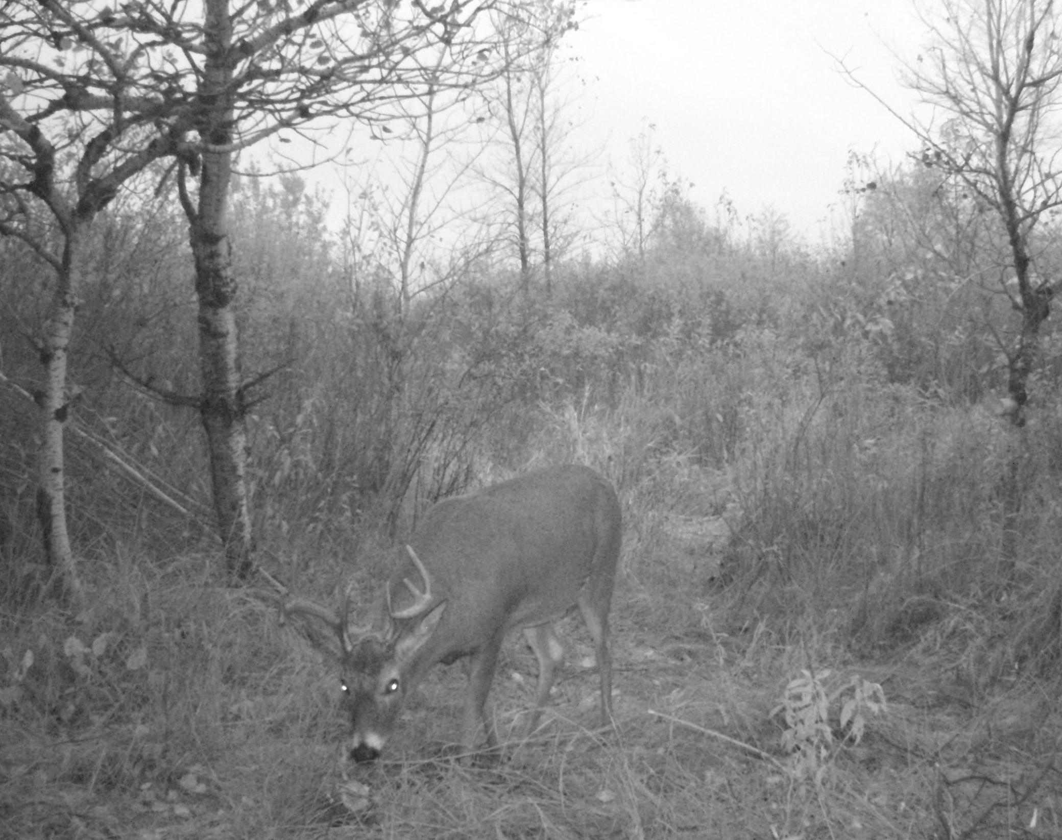 8 pt tall kickers south property_1.JPG