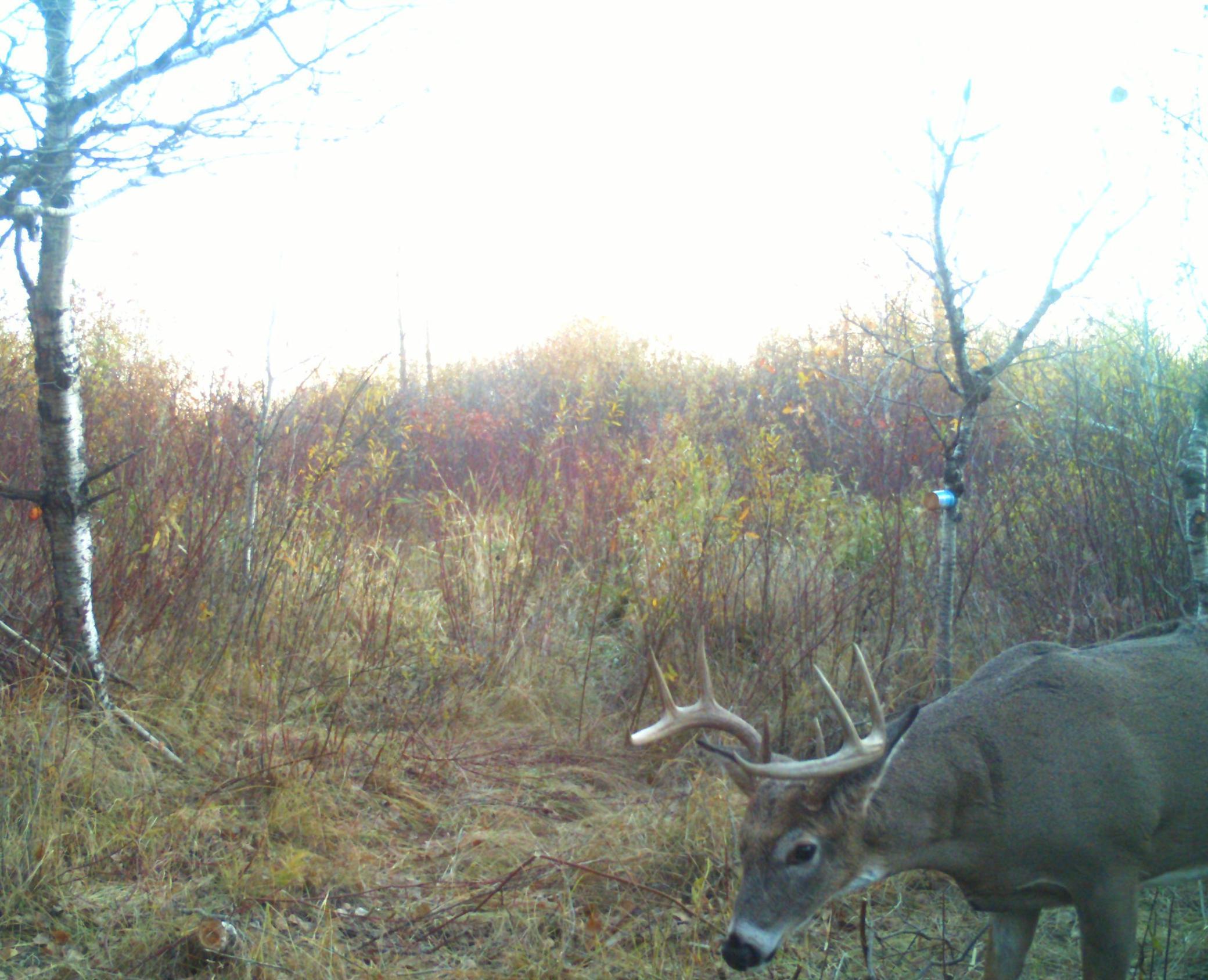 8 pt south property.JPG