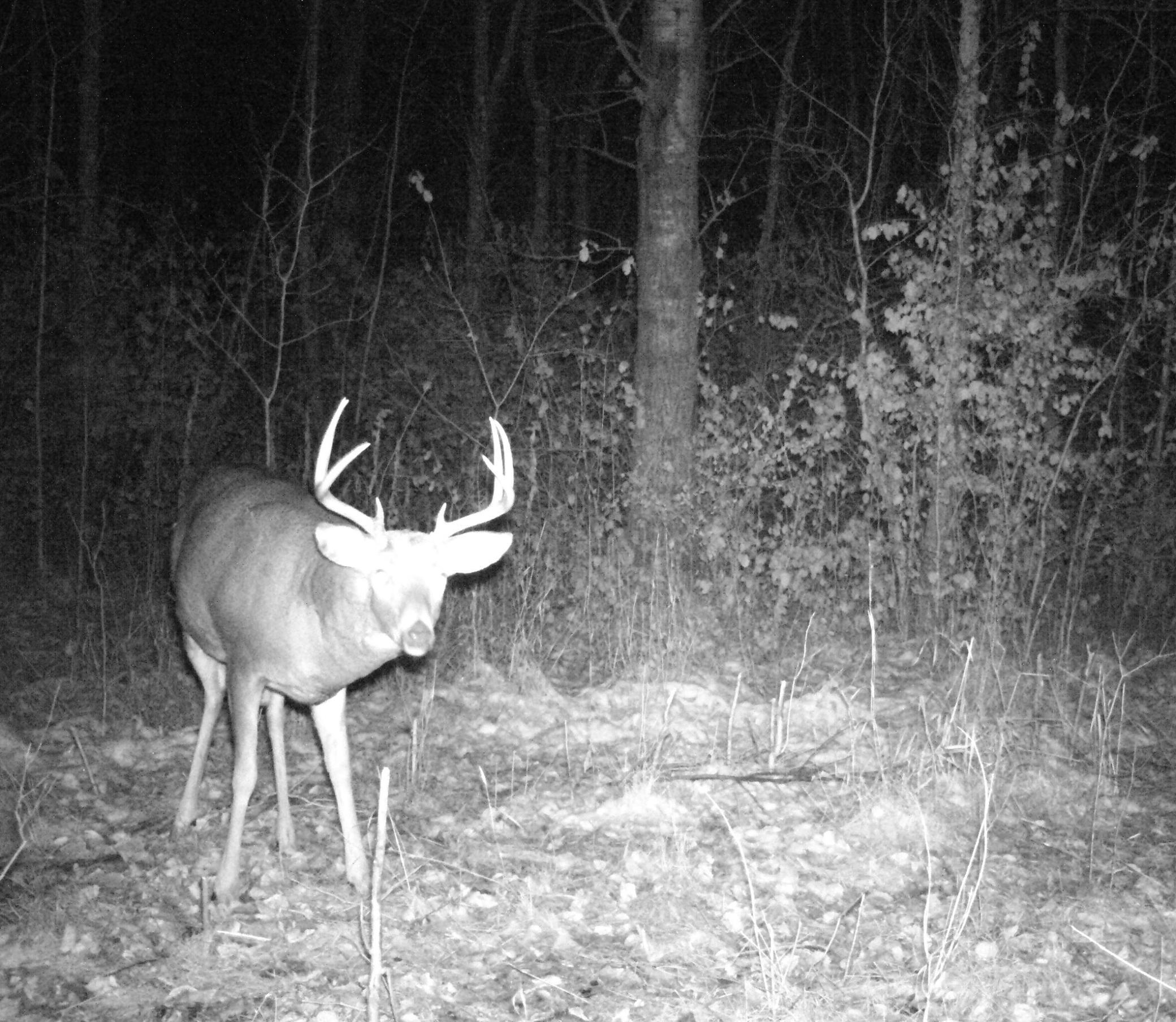 8 pt by flip down window stand 1.JPG