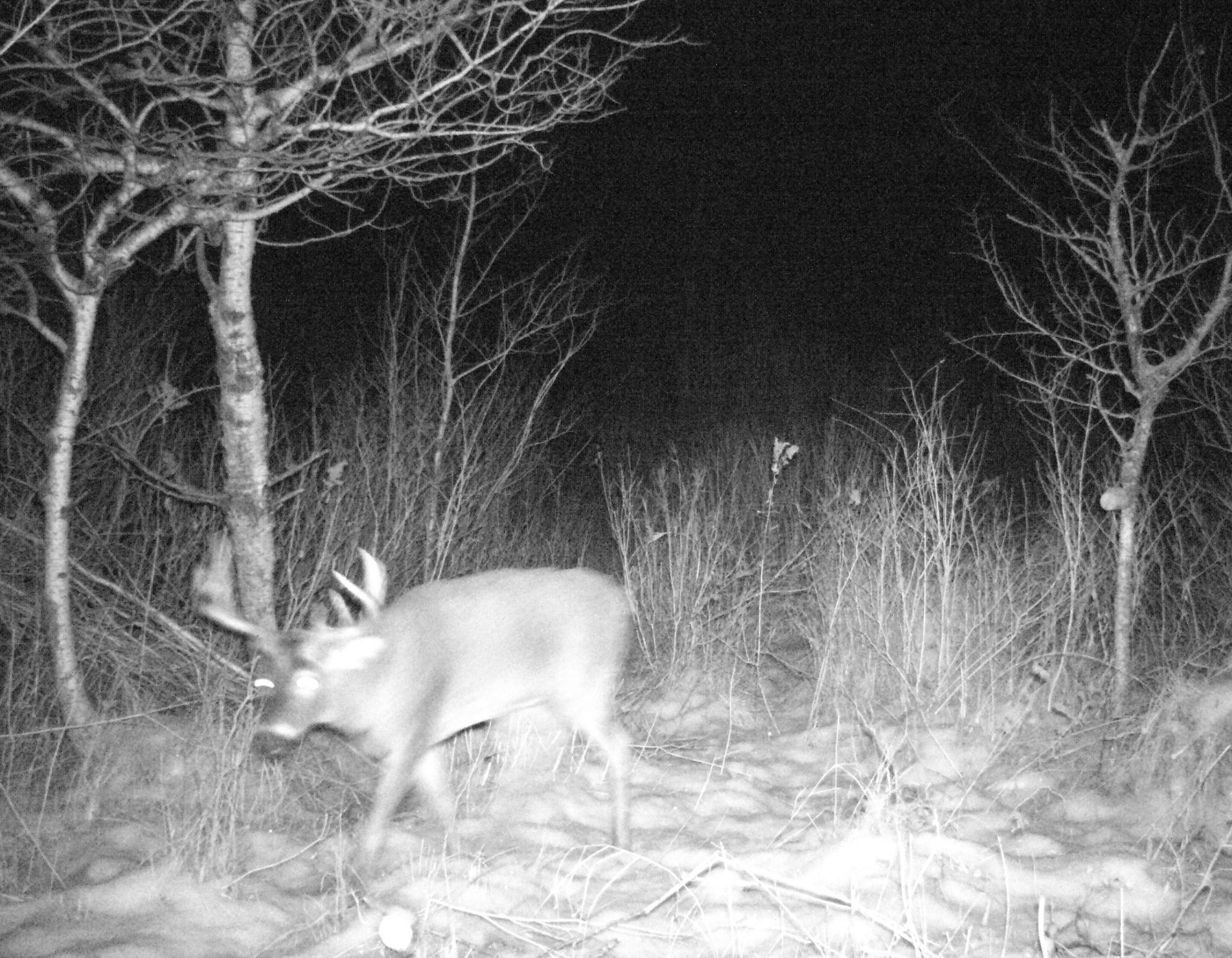 9 pt south property.JPG