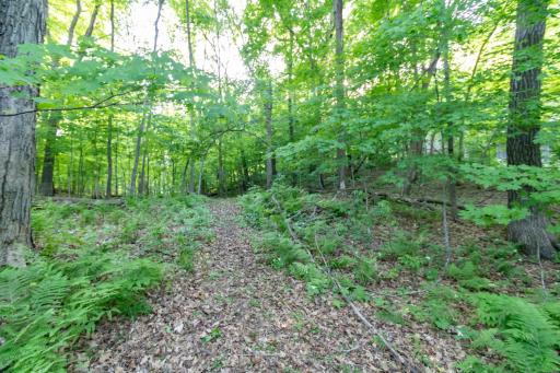 Lot 16 134th Avenue, Amery, WI 54001