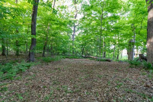 Lot 16 134th Avenue, Amery, WI 54001