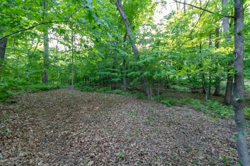 Lot 16 134th Avenue, Amery, WI 54001