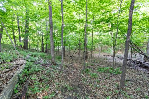 Lot 16 134th Avenue, Amery, WI 54001