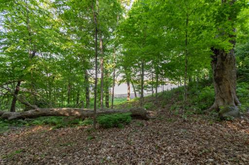 Lot 16 134th Avenue, Amery, WI 54001