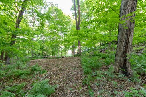 Lot 16 134th Avenue, Amery, WI 54001