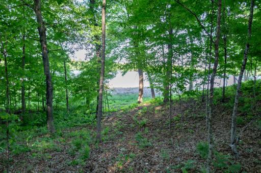 Lot 16 134th Avenue, Amery, WI 54001