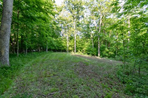 Lot 16 134th Avenue, Amery, WI 54001