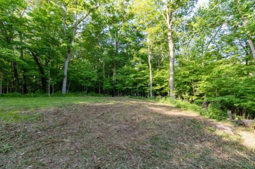 Lot 16 134th Avenue, Amery, WI 54001