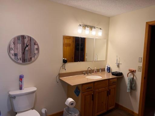 17504 231st Avenue, Long Prairie, MN 56347